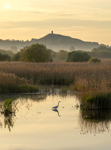 First light of morning, Avalon Marshes