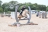 BPP_9016