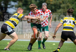 Rugby Sevens Festival 2020-24