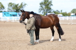 SBM_02391