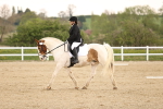 SBM_006532