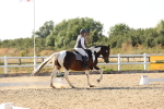SBM_006992