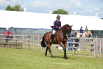 SBM_16048