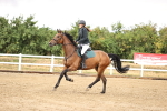 SBM_025476