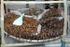 Roasted Insects - Bangkok, Thailand