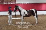 BPP_1609