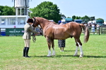 SBM_03907