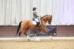 SBM_003798