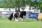 SBM_19362