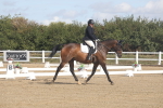 SBM_001576