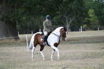 WJ7_6840