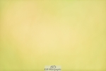 240523B-112214-01946