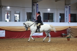 SBM_20131