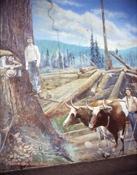 Walls Of Distinction portfolio