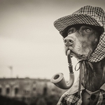 2nd Print-Sherlock Bones-Al Rees