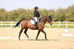 SBM_007928