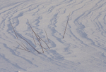 Snow patterns on the vast snowscape of Northern Sweden