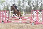 CLASS 4 Senior British Novice/ 90cm Open portfolio