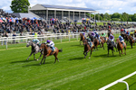 Race 3 2.55pm Churchill Tyres Handicap portfolio