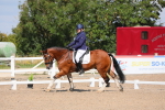 SBM_03842