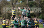 St Jacques v Tottonians-3
