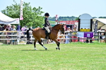 SBM_15360