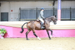 SBM_02192