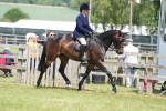 SBM_15878