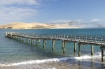 Hokianga Harbour wharf