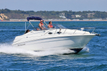 180805 WELLCRAFT 2400 MARTINIQUE 1Y3A7386