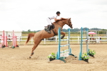 SBM_018208