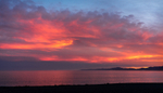 Red Sea - Kaikoura