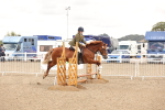 SBM_06790