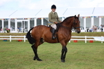 Class 4: Rising Star M/H Hunter portfolio