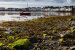 Morning at the shore, Donaghadee, County Down.