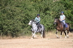 WJ6_7780