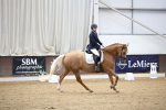 SBM_002071