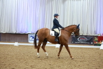 SBM_004232
