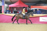 SBM_09634