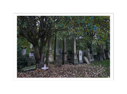 Broken Cross, Necropolis Glasgow Scotland