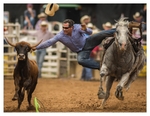 Rodeo Portfolio - Steer Wrestling 03