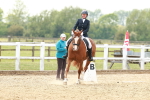 SBM_002864