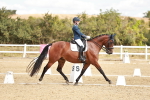SBM_009498