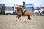 SBM_006137