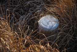 Frozen post