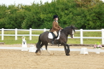 SBM_007685