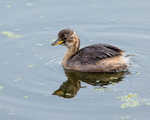 20140905-3K8A5432
