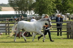 SBM_00774