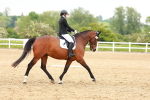 SBM_006531
