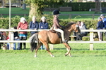 SBM_54096